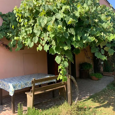 Podere Girasoli *